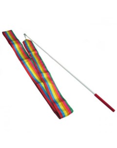 Лента гимнастическая B4 ИП Зезелюк Zez sport