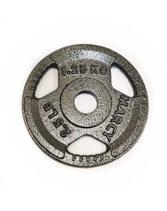 Диск для штанги окрашенный 1.25 кг. d-26 K3-1.25kg ИП Зезелюк Zez sport