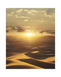 Фотообои Dune 32545 вин на флиз осн 2 12х2 7м пейзаж Marburg