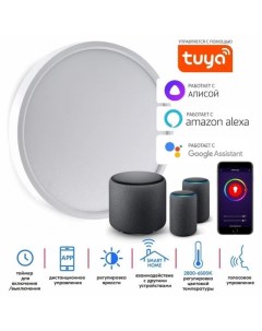 Светильник светодиодный (круг) 18Вт 2800-6500К IP40 NR 18W WIFI Smart белый Ultra