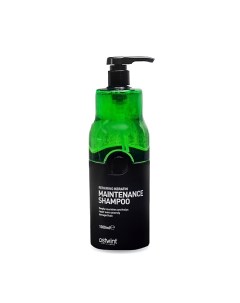 Шампунь для волос Maintenance Shampoo Repairing Keratin Ostwint professional