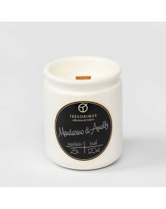 Свеча ароматическая Mandarino di Amalfi мандарин базилик 120 Tresorique