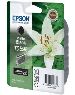 Картридж для принтера C13T05984010 Epson