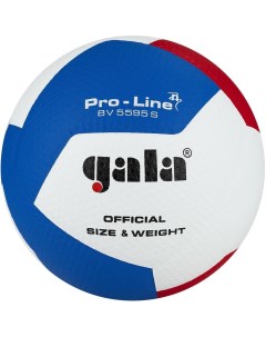 Волейбольный мяч Pro Line 12 5 BV5595SA Gala