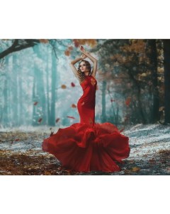 Алмазная мозаика Красное платье DV 9565 47 Darvish