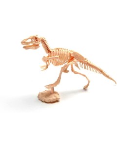 Набор для творчества Юный Археолог тиранозавр DE 0274 Bradex