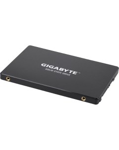 SSD диск GP GSTFS31256GTND 256 GB Gigabyte