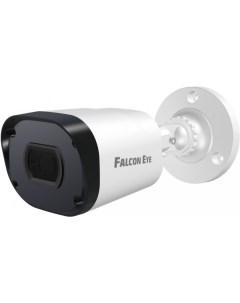 Камера видеонаблюдения FE IPC B2 30P Falcon eye