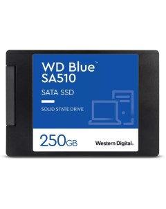 SSD диск S250G3B0A Wd