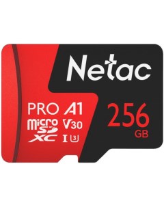Карта памяти NT02P500PRO 256G S Netac