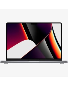 Ноутбук 14 inch MacBook Pro A2442 MKGQ3RU A Space Grey Apple