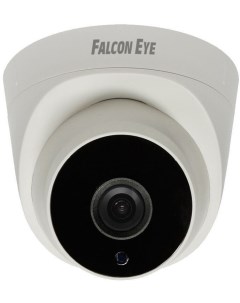 IP камера FE IPC DP2e 30p Falcon eye