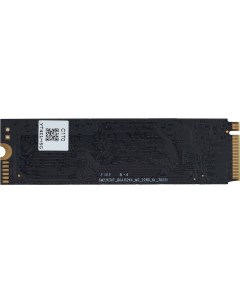SSD диск Mega G1 M 2 2280 DGSM3002TG13T Digma