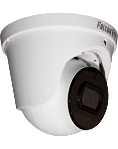 IP камера FE IPC D5 30pa Falcon eye