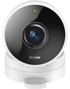 IP камера DCS 8100LH D-link