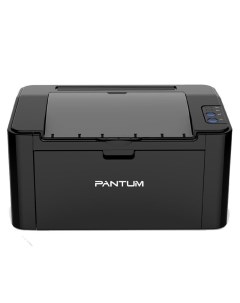 Лазерный принтер P2507 Pantum