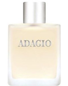 Туалетная вода Adagio 100мл Dilis parfum