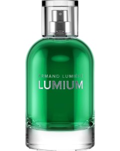 Парфюмерная вода 555 100мл Lumium