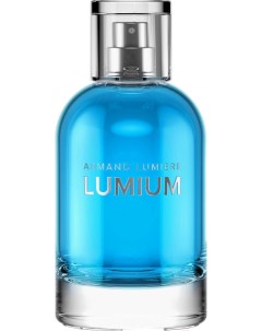 Парфюмерная вода 610 100мл Lumium