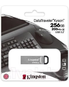 Флешка DataTraveler Exodia 256GB USB 3 2 Gen 1 черная Kingston