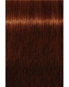 Краска для волос RedFashion Permanent 6 43 60мл Indola