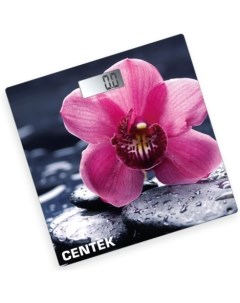 Напольные весы CT 2421 цветы Centek