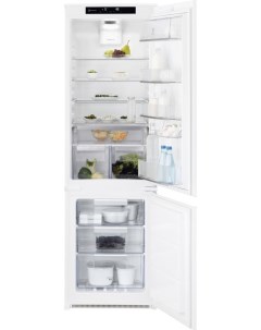 Холодильник 600 PRO RNT8TE18S Electrolux