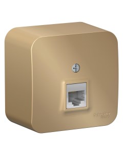 Титан Розетка комп. RJ45 кат.5E BLNIA045004 Blanca