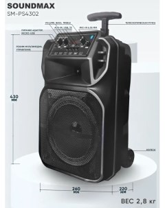 Музыкальный центр SM PS4302 Soundmax