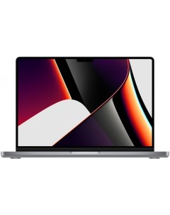 Ноутбук 14 inch MacBook Pro MKGQ3RU A Space Grey Apple