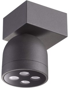 Накладной уличный светильник NT19 000 IP65 LED 3000К 10W 100 240V Galeati темно серый 358113 Novotech
