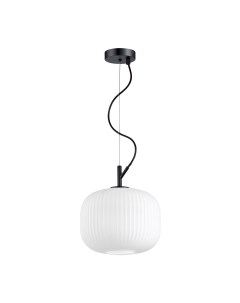 Светильник подвесной ROOFI 4753/1 белый/черный (60Вт, E27) Odeon light