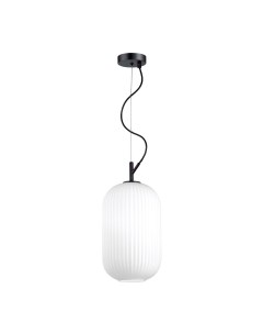 Светильник подвесной ROOFI 4751/1 белый/черный (60Вт, E27) Odeon light