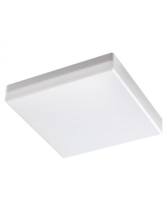 Светильник накладной PANDORA 358688 (20Вт, 4000К, IP54, LED) белый Novotech