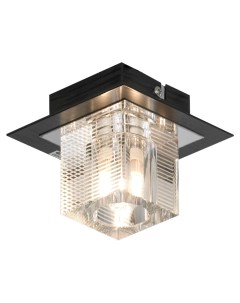 Светильник потолочный Notte Di Luna LSF-1307-01 (1*40Вт, G9) Lussole