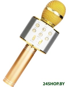 Микрофон WS 858 золотистый Wster
