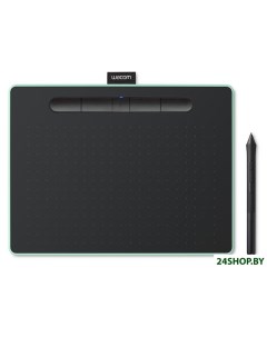 Графический планшет Intuos CTL 6100WL фисташковый зеленый средний размер Wacom