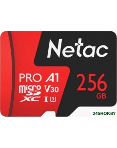 Карта памяти P500 Extreme Pro 256GB NT02P500PRO 256G S Netac