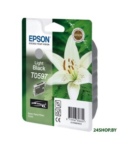 Картридж для принтера C13T05994010 Epson