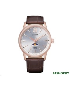 Наручные часы AK5003 05A Citizen