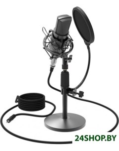Микрофон RDM 175 Ritmix