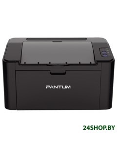 Принтер P2507 Pantum