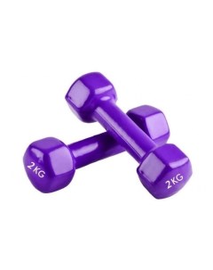 Гантели DB19 2 2x2 кг фиолетовый Artbell