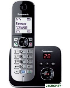 Радиотелефон KX TG6821RUB Panasonic