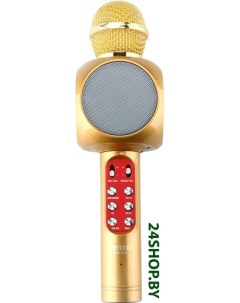 Микрофон WS 1816 золотистый Wster