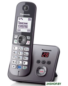 Радиотелефон KX TG6821RUМ Panasonic