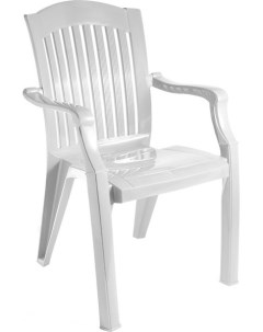 Кресло садовое Премиум 1 110 0010 белый Стандарт пластик групп