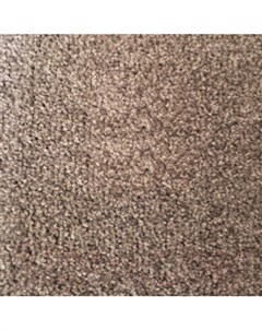 Ковровое покрытие Ideal floor