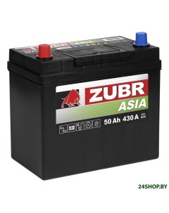 Автомобильный аккумулятор 50 Ah Premium Asia L Зубр