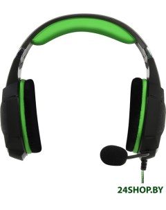 Наушники с микрофоном RUSH TAIPAN SBHG 3100 черный зеленый Smartbuy